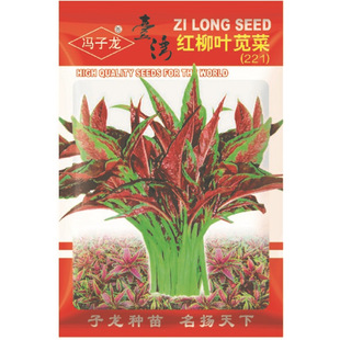 �T�����N��S��ֱ�����������ش���Nֲ ̨���t���~�{�ˣ�221��