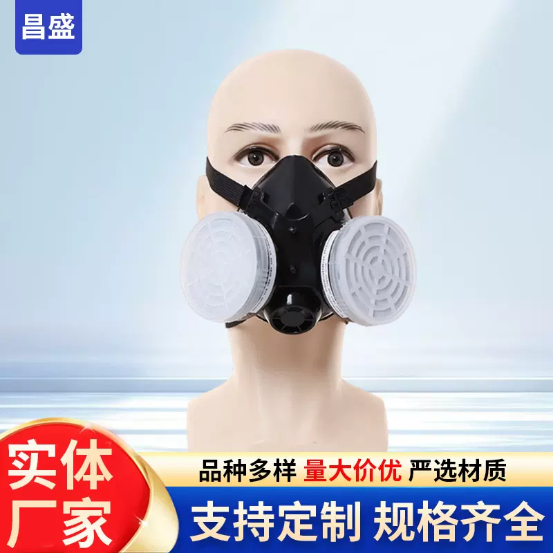 1008自吸过滤式防毒面具挂绳化工喷漆双滤盒活性炭防毒气异味口罩