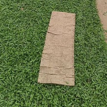 ���������~�Ͳ�̨�����͟��ͺ���Ƥ�ޏͿ�����O��������