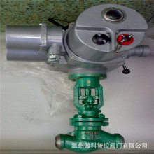 ˮ�⺸�ӽ�ֹ�y DSJ61H-25C �վ���y�T DSJ61Hˮ���ֹ�y DN200