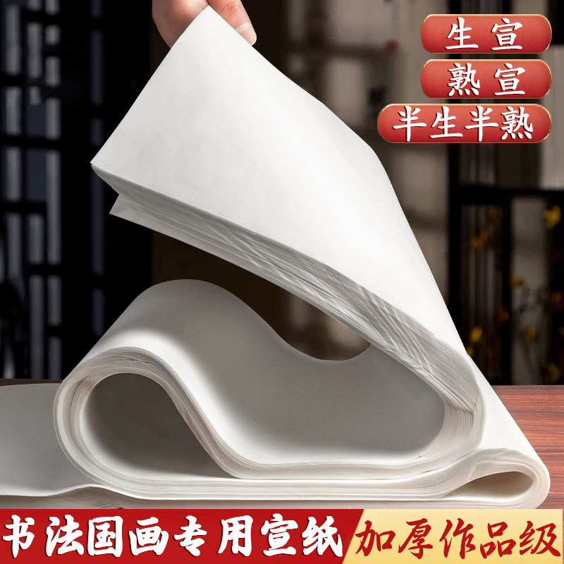 宣纸书法纸半生半熟生宣熟宣国画纸四尺整张对开三开半开4尺六三