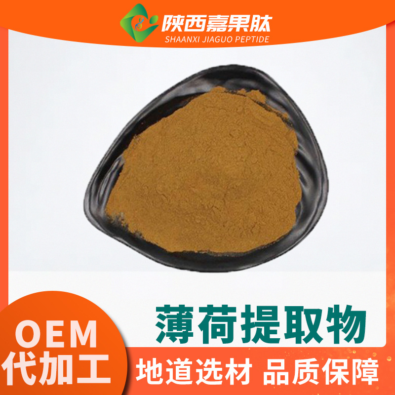 薄荷提取物10:1 多规格现货供应 各种植物原料浓缩粉  水溶薄荷粉