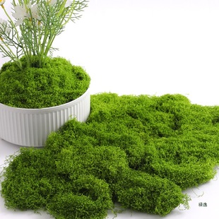 ̦�\��Ƥ�쾰��������̦΢���^���Ô[����ƺ�辰��������b�