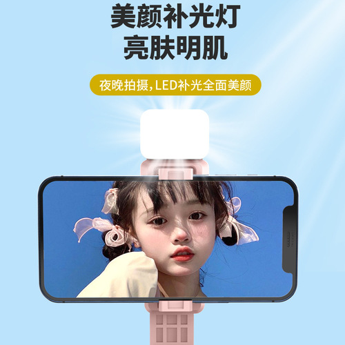 Mini D10s selfie stick, tripod, anti-shake selfie tool, fill light, portable Bluetooth remote control, mobile phone holder