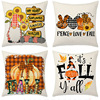 Pillow, pillowcase, Scandinavian sofa, decorations, set, new collection, city style, halloween, simple and elegant design