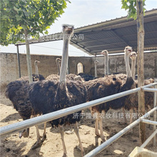 ���^����@�^�p��������r�B�����������w�r�� ���l�����r�B��