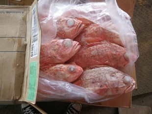 �����m�t��ʯ���~�����~���r�ك��ϻ����~��~���^�ߺ��rˮ�a