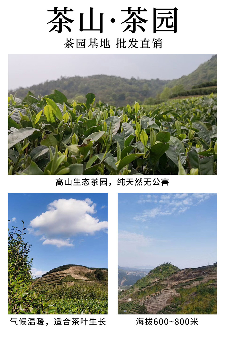 茶厂介绍_03(1)