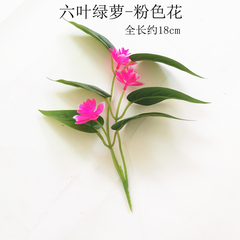 【六叶绿萝-粉色花】.jpg
