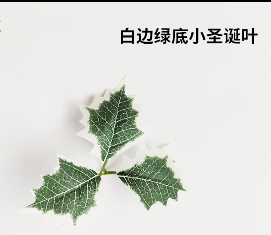 微信图片_20250925174411_95_2