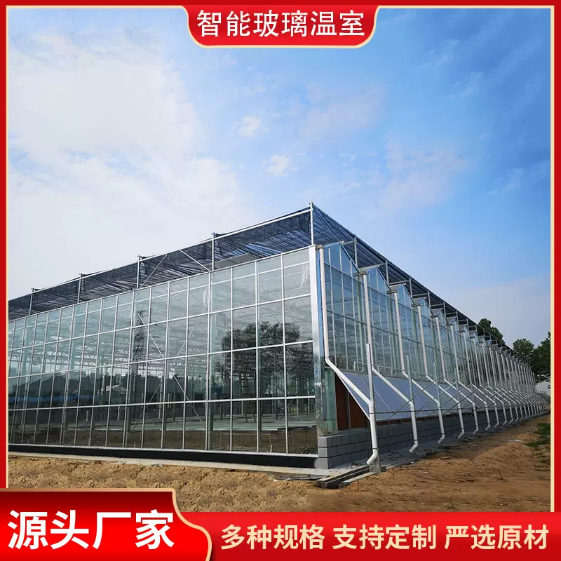 智能玻璃温室 农业种植家禽养殖专用玻璃温室大棚连栋大棚 定 制