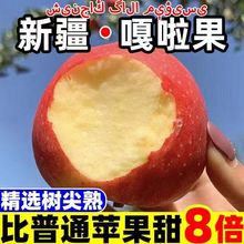 阿克蘇蘋果新疆嘎啦蘋果整箱批發價新鮮水果脆甜蘋果紅富士蘋果