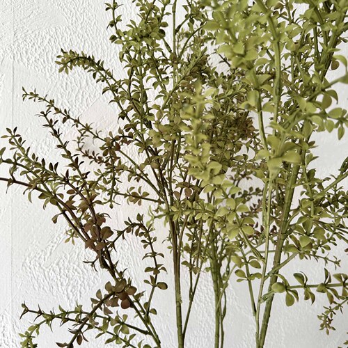 Green Artificial Plant Sedum Wedding Decor Green Plant Living Room Dining Table Flower Arrangement Ornament Willow Branch Fake Grass Branch