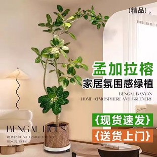 �W�t�ϼ��������Կ͏d�Gֲ�҃ȴ����S���Ÿ�ɽ�Ř�����滨��լ��