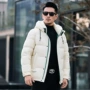新款商务帽长常规羽绒服