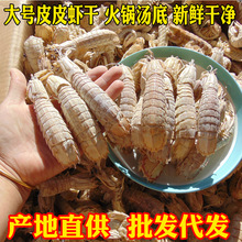 ��̖ƤƤ�r����؛�r���ӻ�停������r���a��؛���l���l����С���b