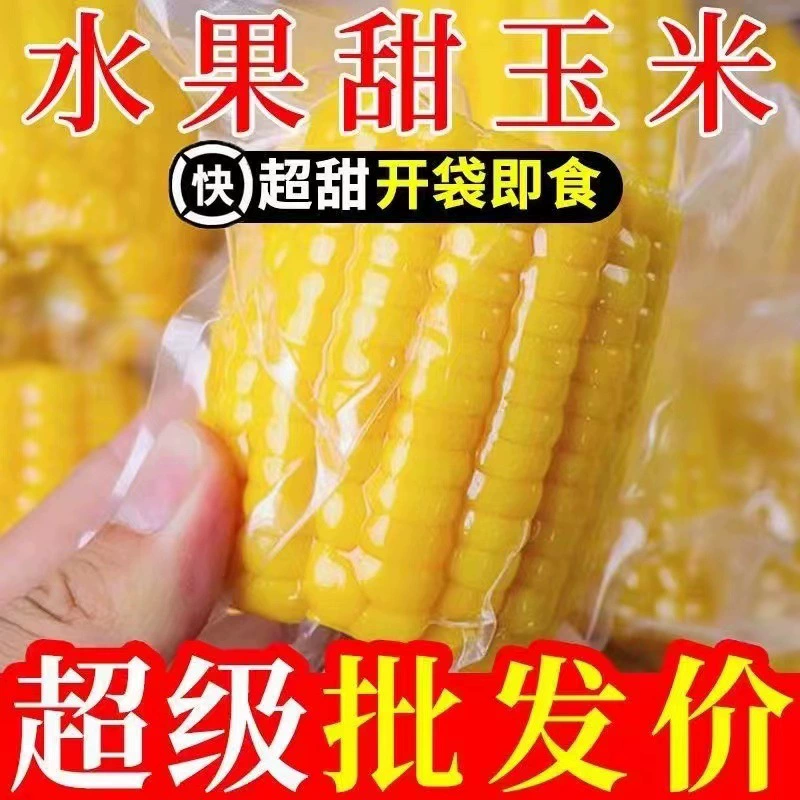 Северо-восточная фруктовая кукуруза свежая сладкая кукурузная початка