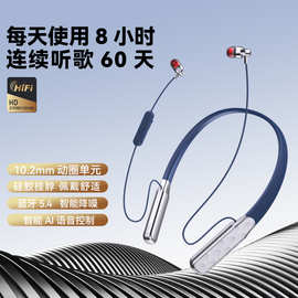 2025私模hifi挂脖入耳式ENC超长播放60天带AI声控不用APP现货代发