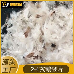 ˮϴ2-4���ZëƬ���ɳ�l��о���|�坍�o��ζֱ�N�ߜ�ˮϴ����