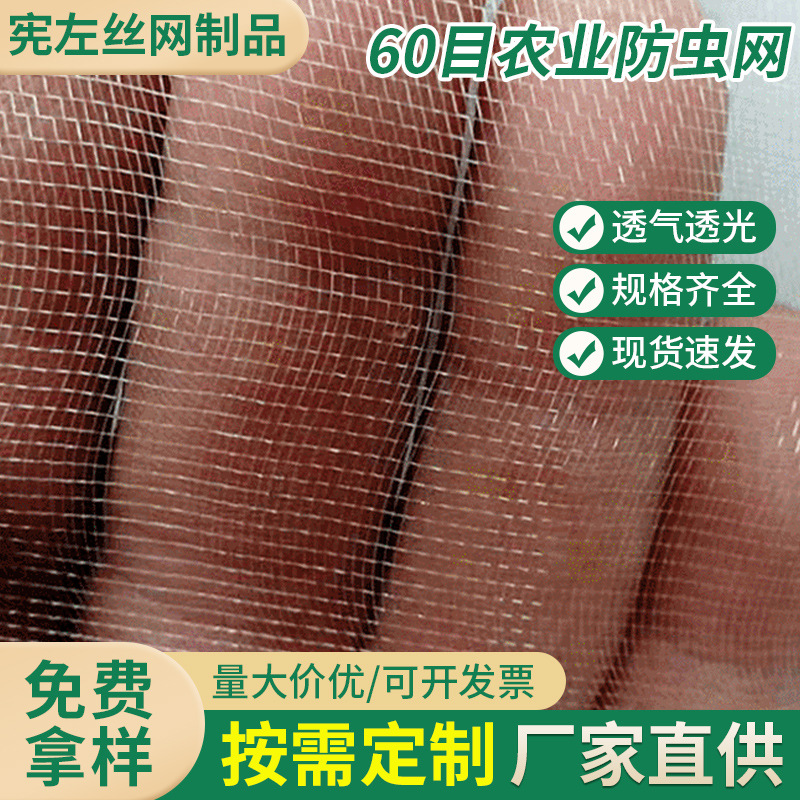现货供应普通60目大棚网罩大棚蔬菜养殖网农业蔬菜果树防虫网