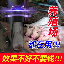 �Bֳ�����ß����B�i�����|ý����������������ͥԺ�����F�����x