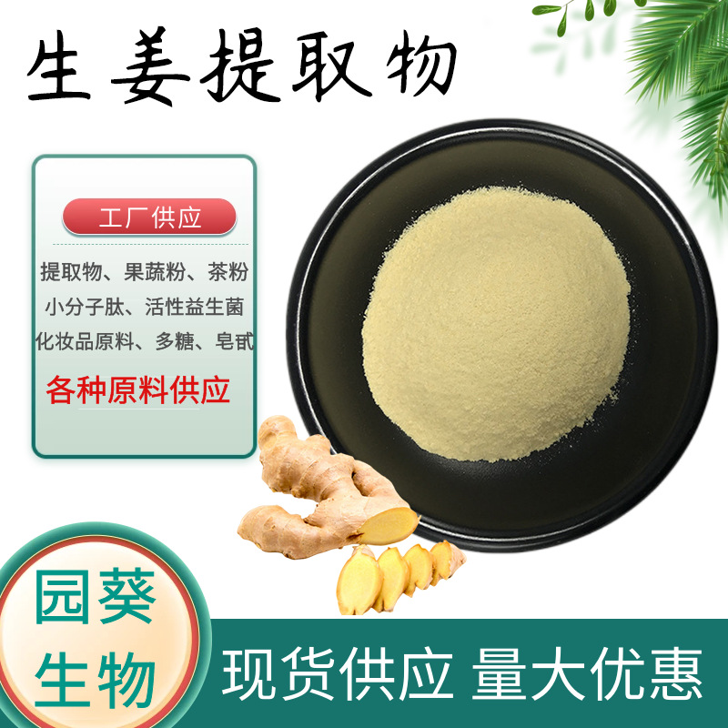 生姜提取物10:1 姜辣素生姜原料生姜粉 厂家低价直销1kg起批 现货