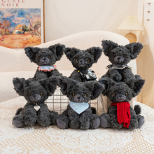 �¿����؈ë�q������Ќ�؈�������ż���������}�QŮ�ѶY�����l