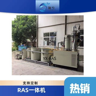 实验室循环水水产养殖装置 科研 RAS 水生生物培养系统