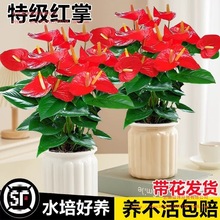 ˮ��t�����Ԏ������\���^һ���L��׻��ļ��_���ܾGֲ���҃Ⱥ��B