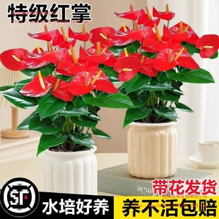 ˮ��t�����Ԏ������\���^һ���L��׻��ļ��_���ܾGֲ���҃Ⱥ��B