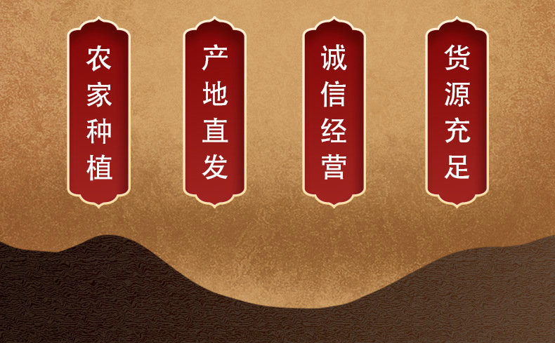 O1CN01NwsuLa2GepV0sJkcG_!!2210