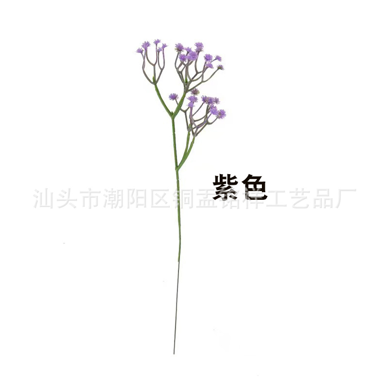 보라색