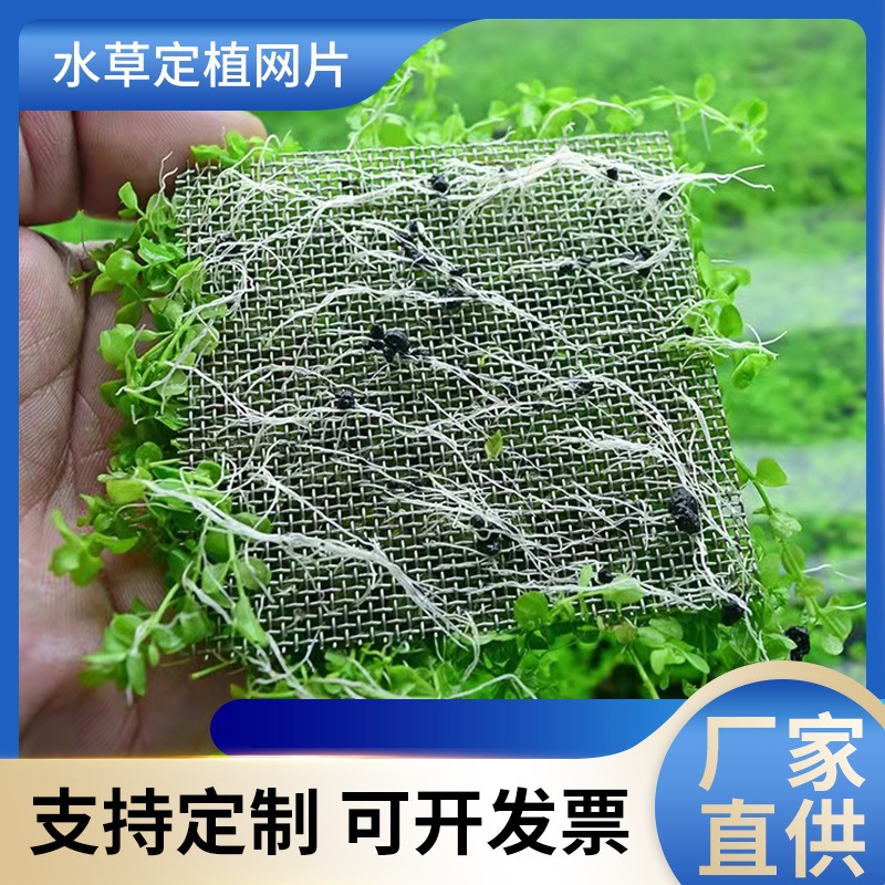 水草网片养殖造景用定植莫斯MOSS不锈钢金属网格片
