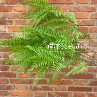 仿真绿植波斯叶森系植物墙装饰蕨草植物婚礼小清新户外装扮文艺跨