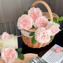 ¼ ҕ ľ¼༾ͥԺ¶̨^pֲõ廨