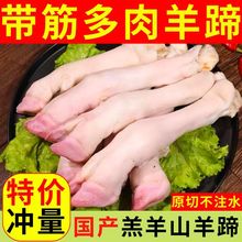 羊蹄子厂家直销多筋多肉羔羊蹄农家散养羊肉红烧烤羊蹄不腥膻原切