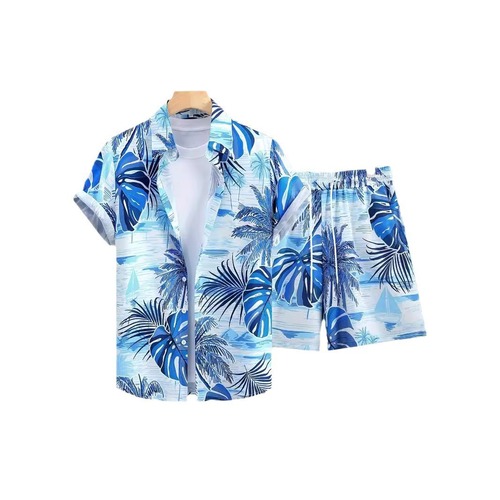 Linen Shirt and Shorts Set for Men - Leisure Vacation, European and American Style, Cross-Border 2025 Summer New Arrival, 3D Printed