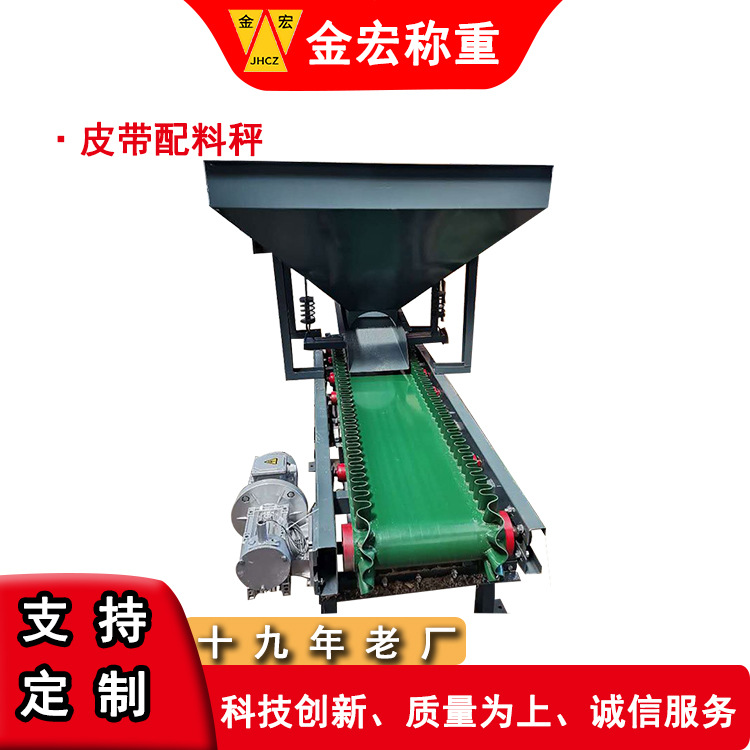 称重计量设备厂家供应 定量给料机 高精度配料秤 料斗配料秤
