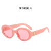 Fashionable trend sunglasses, brand retro glasses with letters, European style