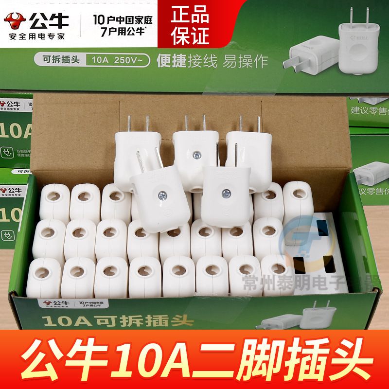 Genuine Bull Brand New 10A Plug with Two-Pronged Wire Connection, Two-Hole Two-Prong Power Supply 2-Pin 10L1G
