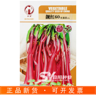 �����n�t60�t��̦�N��60�������͟���~������ﶬ�߲˸�������70