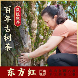 凤姐家茶【百年古树 东方红】乌岽茶 凤凰单丛 高山单枞茶叶