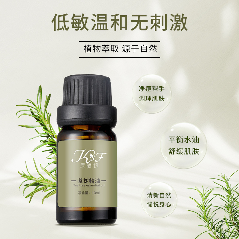 メーカー卸売り精油茶樹片方精油植物アロマバランス水油茶樹精油原料|undefined