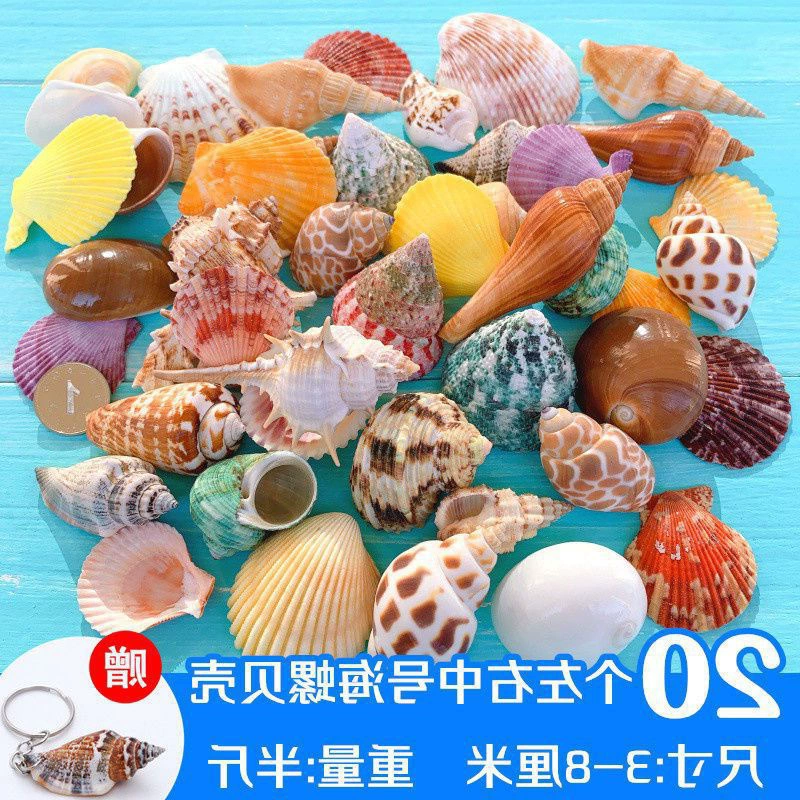 Aquarium decor, materials set for swimming, starfish