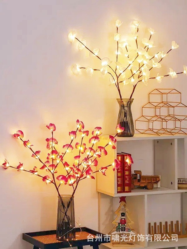 O1CN01NYgFya1YBfULktoZx_!!2214