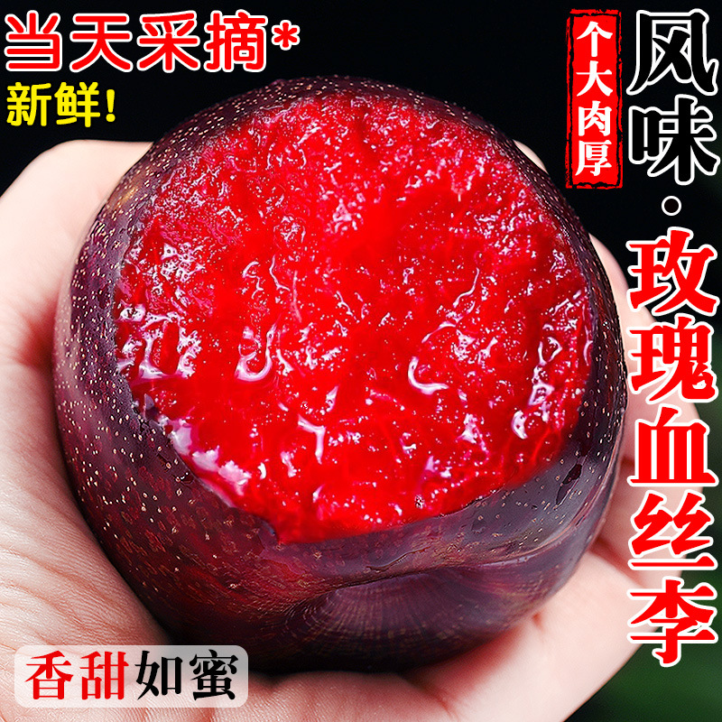 Rose blood silk plum fresh plum 5 jin seasonal freshly picked red heart plum black Bruno red flesh dinosaur egg whole box