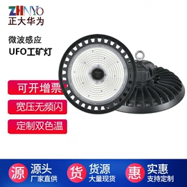 泛光灯;道路照明灯;其他专用灯具