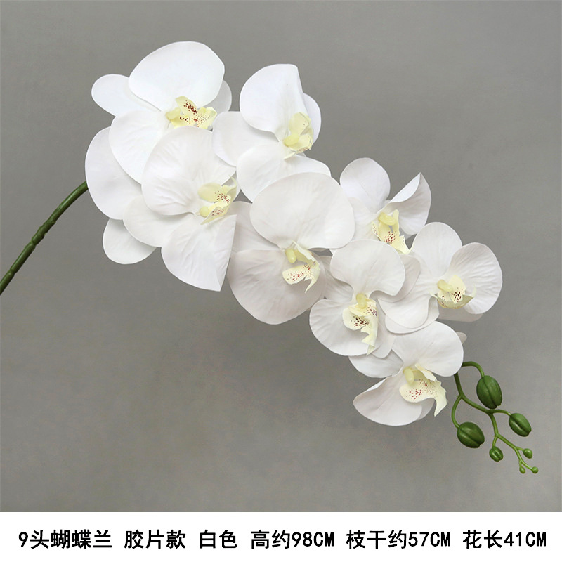 9-head film waterproof phalaenopsis-white "thickened"