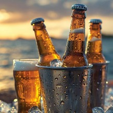 �������l��ɫơ��ƿ����ƿ�������ƿ�����ʹ���ˮƿ330-540ml