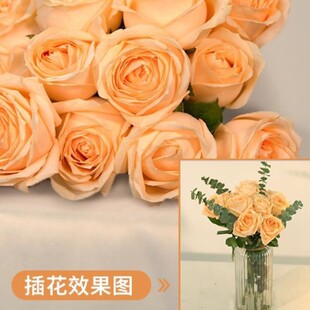 Freshly Picked Roses, Flowers from Yunnan Kunming Base, Direct Shipment of Lilies, Sunflowers, Red Beans for Home Use, Fresh Cut for Water Cultivation